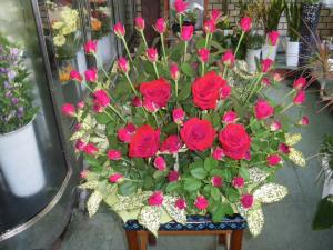 imgp1398